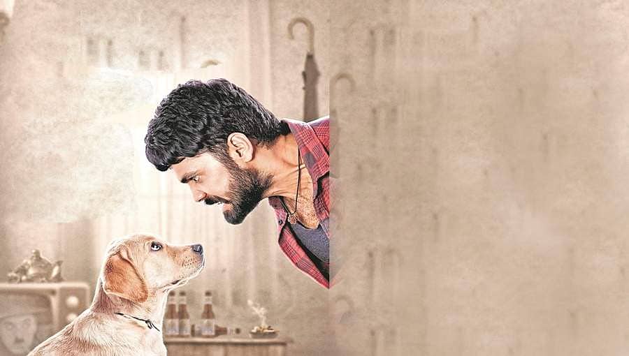 ರಕ್ಷಿತ್ ಶೆಟ್ಟಿ ಜನ್ಮದಿನಕ್ಕೆ '777 ಚಾರ್ಲಿ' ತಂಡದಿಂದ ಸಿಕ್ತಿದೆ ವಿಶೇಷ ಗಿಫ್ಟ್!