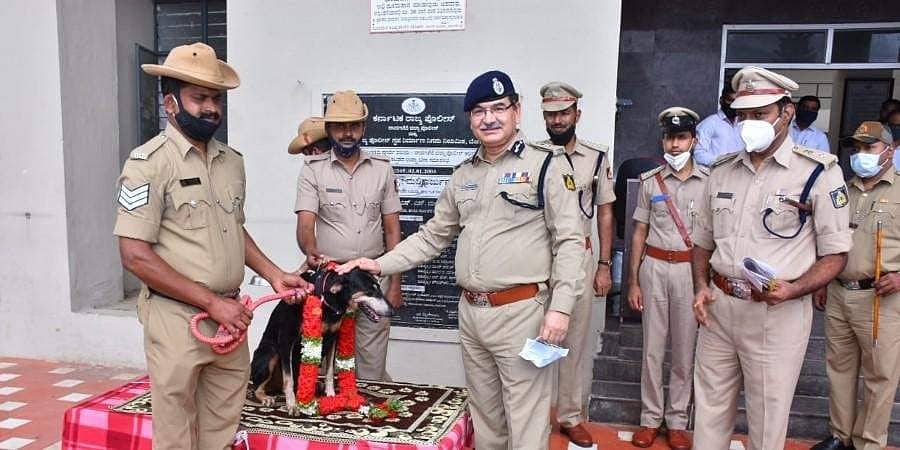 ದಾವಣಗೆರೆ: 30 ಕೊಲೆ ಪ್ರಕರಣ ಸೇರಿದಂತೆ 60 ಕೇಸ್ ಗಳ ಪತ್ತೆಗೆ ಸಹಾಯ ಮಾಡಿದ 'ತುಂಗಾ'ಗೆ ಸನ್ಮಾನ!