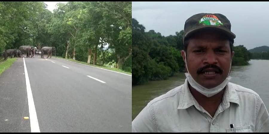 ಅಸ್ಸಾಂನಲ್ಲಿ ಭೀಕರ ಪ್ರವಾಹ: 30 ಜಿಲ್ಲೆಗಳು ಜಲಾವೃತ, 76 ಮಂದಿ, 96 ಕಾಡು ಪ್ರಾಣಿಗಳ ಸಾವು