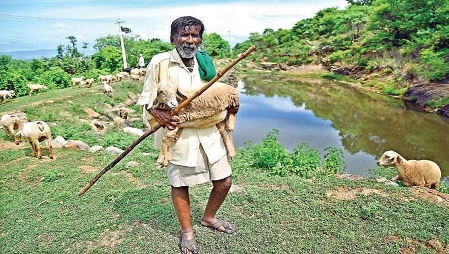 ನನಗೆ ಒಂದು ಉಚಿತ ಬಸ್ ಪಾಸ್ ಕೊಡಿ ಸಾಕು: ಆಧುನಿಕ ಭಗೀರಥ, 'ಕೆರೆಗಳ ಮನುಷ್ಯ' ಕಾಮೇಗೌಡರ ಬಯಕೆ!