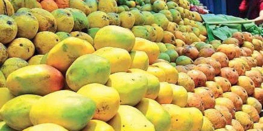 ಉದ್ಯೋಗ ಸಿಗದೆ ಹಣ್ಣು ಮಾರಾಟ ಮಾಡುತ್ತಿರುವ ಇಂದೋರ್ ನ ಪಿಎಚ್ ಡಿ ಪದವೀಧರ ಮಹಿಳೆ!