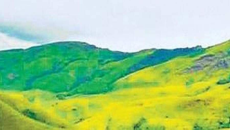 ಕುದುರೆಮುಖಕ್ಕೆ ಕಡೆಗೂ ಒಲಿದ ಪರಿಸರ ಸೂಕ್ಷ್ಮ ವಲಯ ಪಟ್ಟ