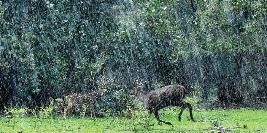 ಝೂಸ್ ಆಫ್ ಕರ್ನಾಟಕ: ಆನ್'ಲೈನ್ ಮೂಲಕ ಪ್ರಾಣಿಗಳ ದತ್ತುಪಡೆದು, ಸಹಾಯ ಮಾಡಲು ಮೊಬೈಲ್ ಆ್ಯಪ್ ಬಿಡುಗಡೆ!