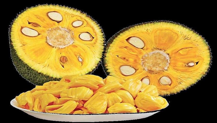 ಹಲಸು: ಏನು ನಿನ್ನ ಆರೋಗ್ಯದ ಸೊಗಸು!