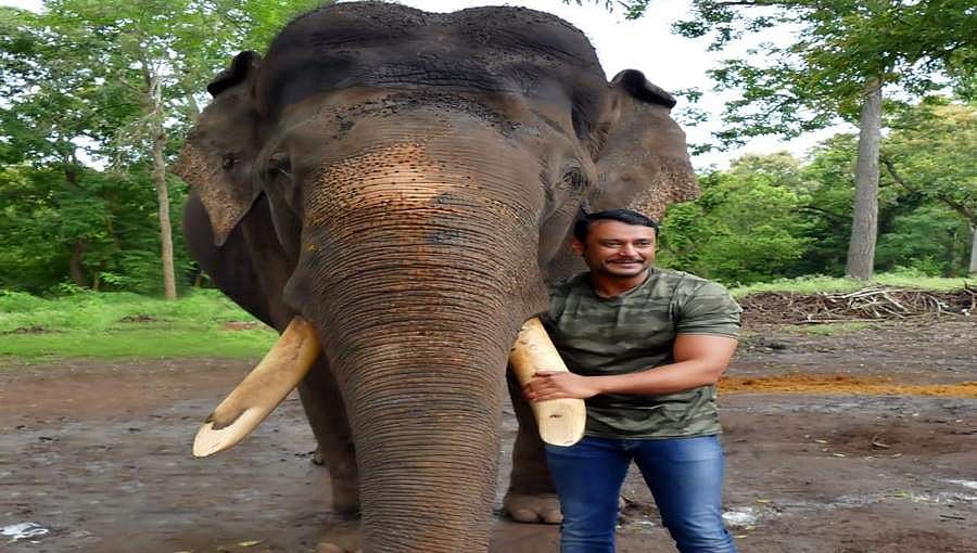ಆನೆಗಳ ರಕ್ಷಣೆಗೆ ನಟ ದರ್ಶನ್ ಮನವಿ