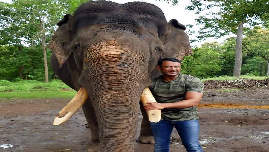 ಆನೆಗಳ ರಕ್ಷಣೆಗೆ ನಟ ದರ್ಶನ್ ಮನವಿ