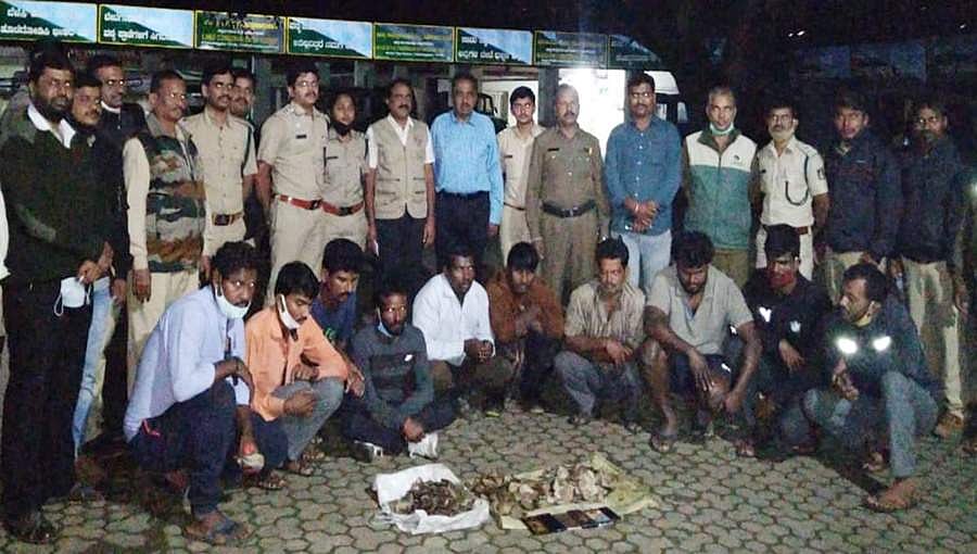 ಚಿಕ್ಕಮಗಳೂರು: ಚಿಪ್ಪುಹಂದಿ ವ್ಯಾಪಾರ ನಡೆಸಿದ್ದ 10 ಮಂದಿಯ ಗ್ಯಾಂಗ್ ಅರೆಸ್ಟ್