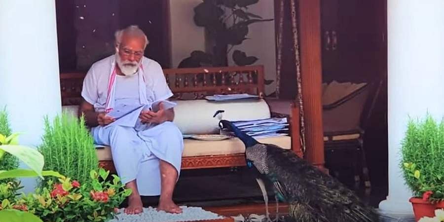 ರಾಷ್ಟ್ರಪಕ್ಷಿಗೆ ಧಾನ್ಯ ತಿನಿಸಿದ ಪ್ರಧಾನಿ ಮೋದಿ : ಲಕ್ಷಾಂತರ ಜನರ ಹೃದಯ ಗೆದ್ದ ವಿಡಿಯೋ