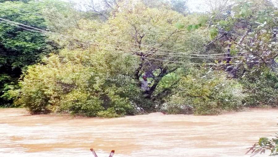 ಬೆಳಗಾವಿ: ಪಂಡರಿ ನದಿ ಪ್ರವಾಹದಲ್ಲಿ ಸಿಲುಕಿದ್ದ ರೈತನ ರಕ್ಷಣೆ