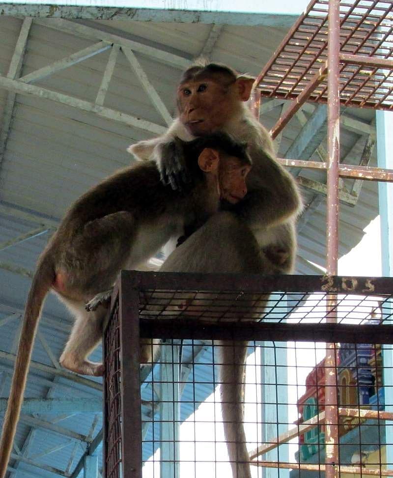 ಮಳೆಗೆ ನಲುಗಿದ ಕರ್ನಾಟಕ