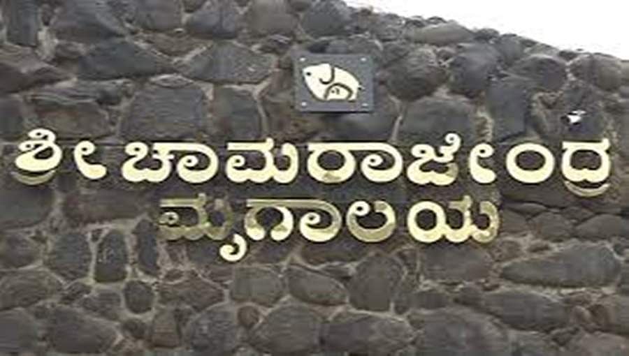 ಆನೆ ದಾಳಿಯಿಂದ ಸಾವನ್ನಪ್ಪಿದ ಪಾಲಕನ ಕುಟುಂಬಕ್ಕೆ ಮೈಸೂರು ಮೃಗಾಲಯದಿಂದ 10 ಲಕ್ಷ ರೂ ಪರಿಹಾರ ಘೋಷಣೆ