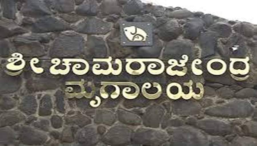 ಆನೆ ದಾಳಿಯಿಂದ ಸಾವನ್ನಪ್ಪಿದ ಪಾಲಕನ ಕುಟುಂಬಕ್ಕೆ ಮೈಸೂರು ಮೃಗಾಲಯದಿಂದ 10 ಲಕ್ಷ ರೂ ಪರಿಹಾರ ಘೋಷಣೆ