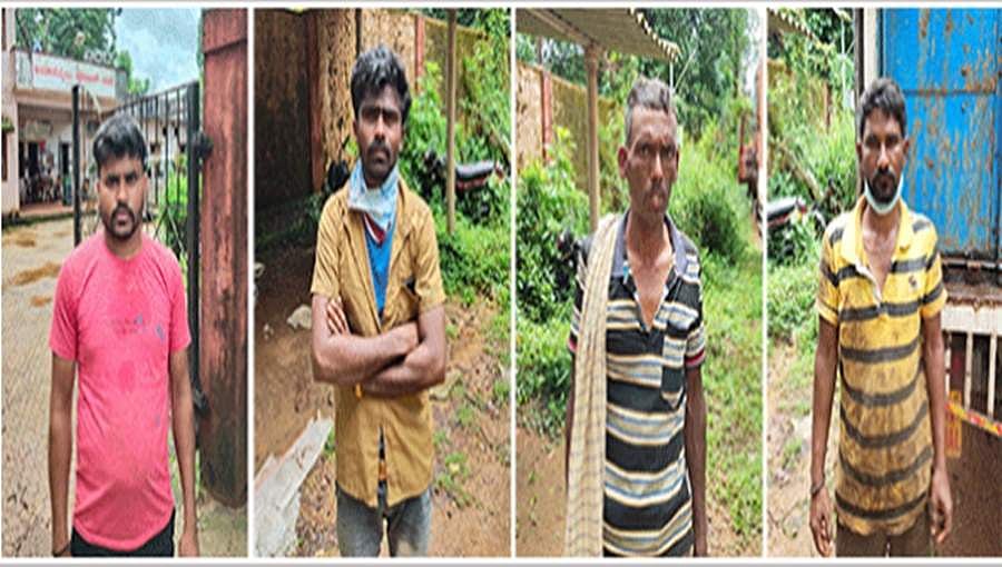 ಕುಂದಾಪುರ: ದನ ಕಳ್ಳಸಾಗಣೆ - 52 ಎಮ್ಮೆಗಳು, 2 ವಾಹನ ವಶ, ನಾಲ್ವರ ಬಂಧನ
