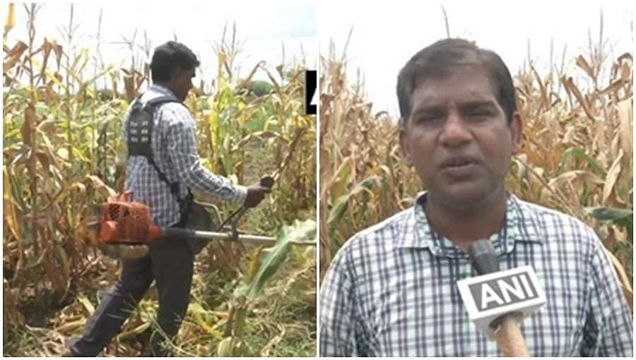 ವಿದೇಶದಲ್ಲಿ ಲಕ್ಷಗಟ್ಟಲೇ ಸಿಗುತ್ತಿದ್ದ ಕೆಲಸಕ್ಕೆ ಗುಡ್ ಬೈ ಹೇಳಿ, ಕೃಷಿ ಆರಂಭಿಸಿದ ಸಾಪ್ಟ್ ವೇರ್ ಎಂಜಿನಿಯರ್!