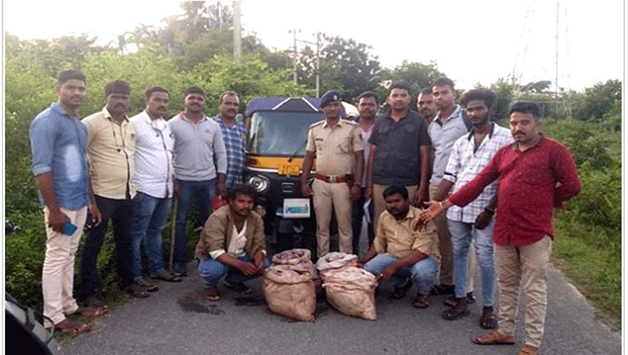 ಶಿವಮೊಗ್ಗ: ಜಿಂಕೆ ಮಾಂಸ ಮಾರಾಟ ನಡೆಸಿದ್ದ ಇಬ್ಬರ ಬಂಧನ, 103 ಕೆಜಿ ಜಿಂಕೆ ಮಾಂಶ ವಶ