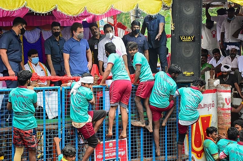 ಜಲ್ಲಿಕಟ್ಟು ಚಿತ್ರಗಳು