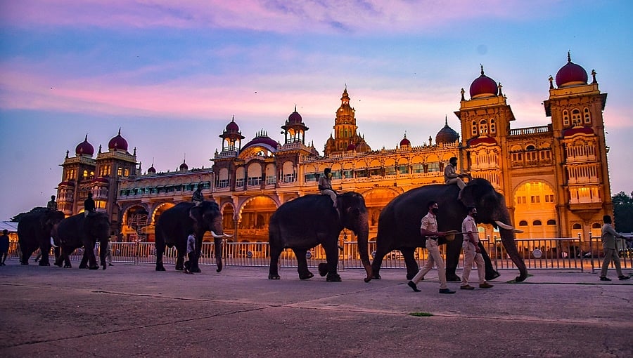ಸಾಂಸ್ಕೃತಿಕ ನಗರಿ ಮೈಸೂರಿನಲ್ಲಿಂದು ವಿಜಯದಶಮಿ: ಪ್ರಮುಖ ಆಕರ್ಷಣೆ ಜಂಬೂ ಸವಾರಿಗೆ ಕ್ಷಣಗಣನೆ