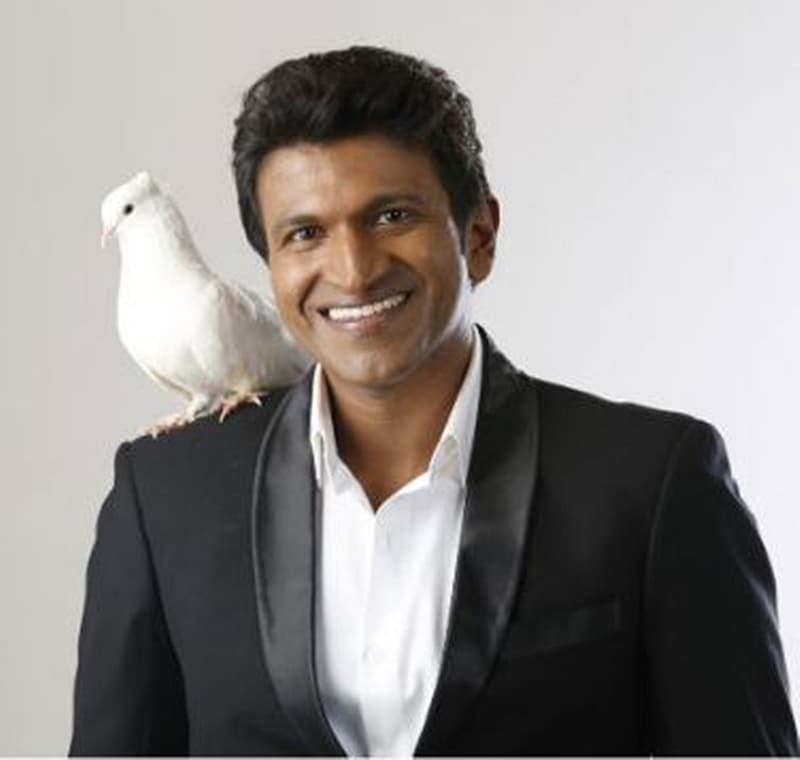 ಜಾಕೀ (2010) ಹುಡುಗರು (2011) ಪರಮಾತ್ಮ (2011) ಅಣ್ಣಾ ಬಾಂಡ್ (2012) ಯಾರೇ ಕೂಗಾಡಲಿ (2012) ನಿನ್ನಿಂದಲೇ (2014) ಮೈತ್ರಿ (2015) ಪವರ್ ಸ್ಟಾರ್ (2015) ಧೀರ ರಣ ವಿಕ್ರಮ, ಚಕ್ರವ್ಯೂಹ, ದೊಡ್ಮನೆ ಹುಡುಗ, ರಾಜಕುಮಾರ (2017) ಅಂಜನಿ ಪುತ್ರ, ನಟಸಾರ್ವಭೌಮ (2019) ಸೇರಿದಂತೆ ಇನ್ನಿತರ ಯಶಸ್ವಿ ಚಿತ್ರಗಳಲ