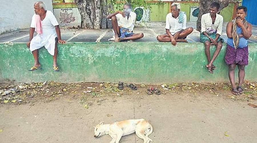 ಪಾವಗಡದ ಸೋಲಾರ್ ಪಾರ್ಕ್ ಮೂಡಿಸಿದ್ದು ಕೆಲವರ ಜೀವನದಲ್ಲಿ ಬೆಳಕು, ಹಲವರ ಜೀವನದಲ್ಲಿ ಕತ್ತಲು