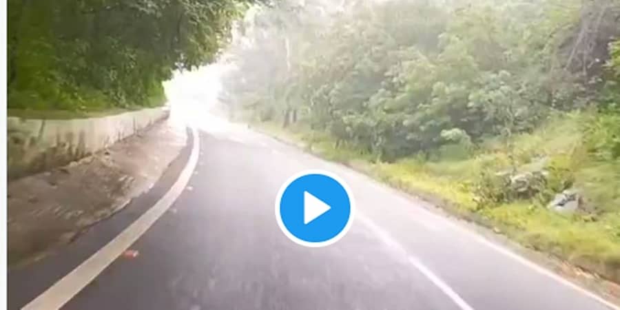 ಮೈಸೂರು: ಚಾಮುಂಡಿಬೆಟ್ಟದಲ್ಲಿ ಹಾಡಹಗಲೇ ಬೈಕ್ ಗೆ ಅಡ್ಡ ಬಂದ ಚಿರತೆ! ವಿಡಿಯೋ