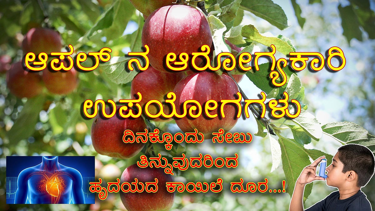 ಆಪಲ್ ನ ಆರೋಗ್ಯಕಾರಿ ಉಪಯೋಗಗಳು: ದಿನಕ್ಕೊಂದು ಸೇಬು ತಿನ್ನುವುದರಿಂದ ಹೃದಯದ ಕಾಯಿಲೆ ದೂರ...!