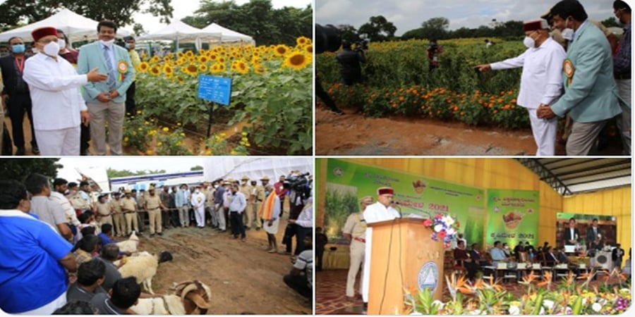 ಕೃಷಿಮೇಳ 2021: ಮಳೆ ನಡುವೆಯೂ ಜನಸ್ತೋಮ, ನಿರೀಕ್ಷೆಗೂ ಮೀರಿದ ಸ್ಪಂದನೆ