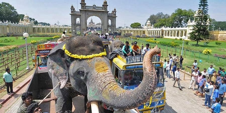 ಮೈಸೂರು ದಸರಾಗೆ 4.22 ಕೋಟಿ ರೂ. ವೆಚ್ಚವಾಗಿದೆ: ಸಚಿವ ಎಸ್.ಟಿ. ಸೋಮಶೇಖರ್