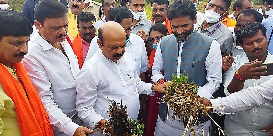 ಕೋಲಾರದಲ್ಲಿ ಭಾರಿ ಮಳೆಯಿಂದ ಬೆಳೆ ಹಾನಿ; ಪರಿಶೀಲನೆ ನಡೆಸಿದ ಸಿಎಂ ಬೊಮ್ಮಾಯಿ