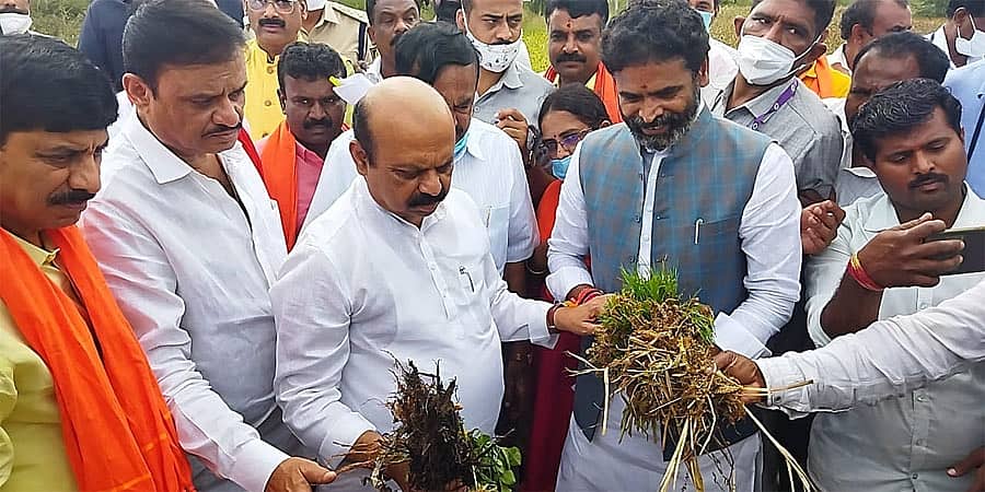 ಕೋಲಾರದಲ್ಲಿ ಭಾರಿ ಮಳೆಯಿಂದ ಬೆಳೆ ಹಾನಿ; ಪರಿಶೀಲನೆ ನಡೆಸಿದ ಸಿಎಂ ಬೊಮ್ಮಾಯಿ
