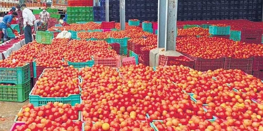ಟೊಮೆಟೊ ದರೋಡೆ: ದಂಪತಿ ಬಂಧನ, ಮೂರನೇ ಆರೋಪಿಗಾಗಿ ಶೋಧ