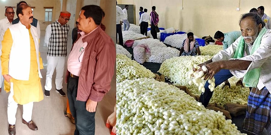 ರೇಷ್ಮೆ ಗೂಡು 785 ರೂಪಾಯಿ ಮುಟ್ಟಿರುವುದು ಸಂತಸ ತಂದಿದೆ: ಸಚಿವ ಡಾ. ನಾರಾಯಣಗೌಡ