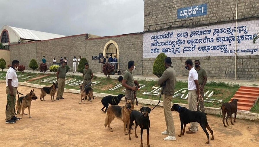 ಬೆಳ್ಳಂಬೆಳಗ್ಗೆ ಪರಪ್ಪನ ಅಗ್ರಹಾರದ ಜೈಲಿನ ಮೇಲೆ ಸಿಸಿಬಿ ದಾಳಿ; ಮೊಬೈಲ್, ಗಾಂಜಾ ಪತ್ತೆ!