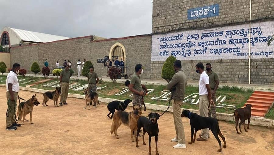 ಬೆಳ್ಳಂಬೆಳಗ್ಗೆ ಪರಪ್ಪನ ಅಗ್ರಹಾರದ ಜೈಲಿನ ಮೇಲೆ ಸಿಸಿಬಿ ದಾಳಿ; ಮೊಬೈಲ್, ಗಾಂಜಾ ಪತ್ತೆ!