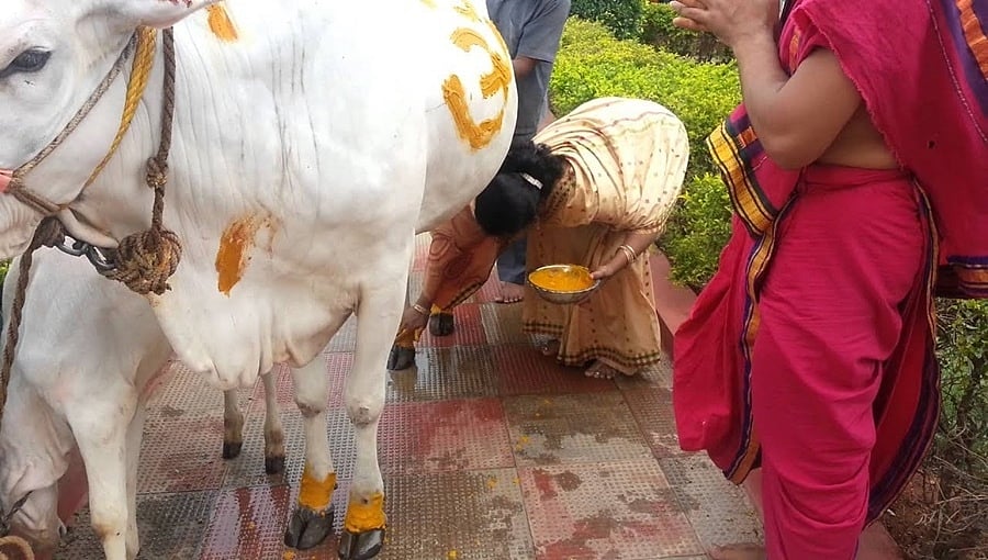 ಬಲಿಪಾಡ್ಯಮಿಯಂದು ದೇವಾಲಯಗಳಲ್ಲಿ ಗೋಪೂಜೆ: ಅಧಿಕಾರಿಗಳ ನಿಯೋಜನೆ