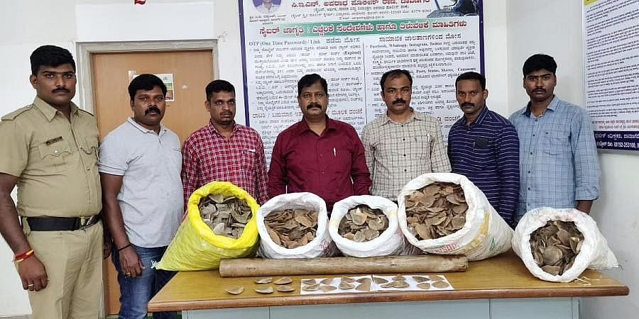ದಾವಣಗೆರೆ: 67 ಕೆಜಿ ಪಂಗೋಲಿನ್ ಚಿಪ್ಪು ವಶ, 18 ಮಂದಿ ಬಂಧನ