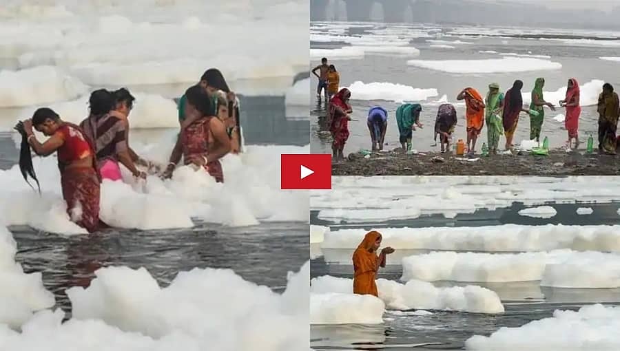 ಛತ್ ಪೂಜೆ: ವಿಷಕಾರಿ ನೊರೆಯ ಮಧ್ಯೆ ಯಮುನಾದಲ್ಲಿ ಸ್ನಾನ ಮಾಡಿದ ಭಕ್ತರ ವಿಡಿಯೋ; ಕೇಜ್ರಿವಾಲ್ ವಿರುದ್ಧ ಬಿಜೆಪಿ ಕಿಡಿ