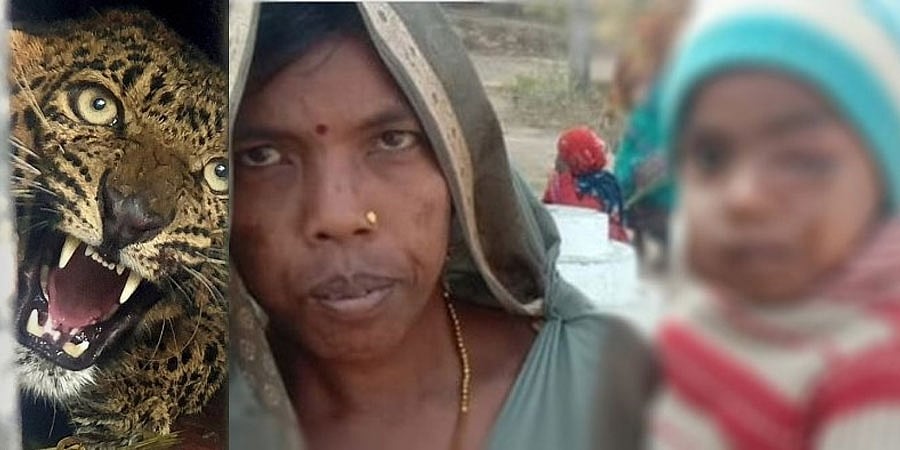 1 ಕಿ.ಮೀ ಚಿರತೆಯನ್ನು ಅಟ್ಟಾಡಿಸಿಕೊಂಡು ಹೋಗಿ ತನ್ನ ಪುತ್ರನನ್ನು ರಕ್ಷಿಸಿದ ತಾಯಿ, ಮಧ್ಯ ಪ್ರದೇಶ ಸಿಎಂ ಶ್ಲಾಘನೆ!