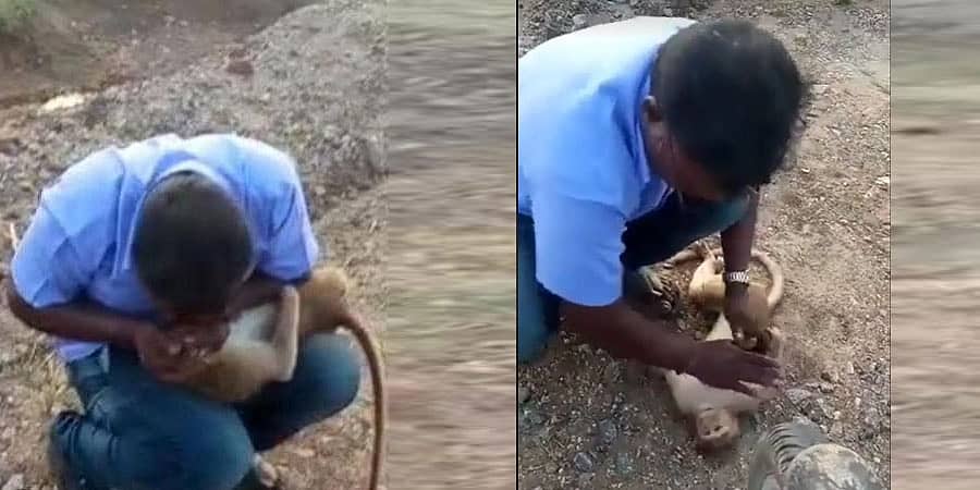 ತಮಿಳುನಾಡು: ಗಾಯಗೊಂಡಿದ್ದ ಕೋತಿಗೆ ಮರುಜೀವ ನೀಡಿದ ಚಾಲಕ, ವಿಡಿಯೋ ವೈರಲ್