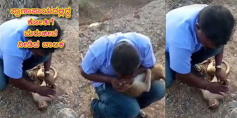 ತಮಿಳುನಾಡು: ಪ್ರಾಣಾಪಾಯದಲ್ಲಿದ್ದ ಕೋತಿಗೆ ಮರುಜೀವ ನೀಡಿದ ಚಾಲಕ, ವಿಡಿಯೋ ವೈರಲ್
