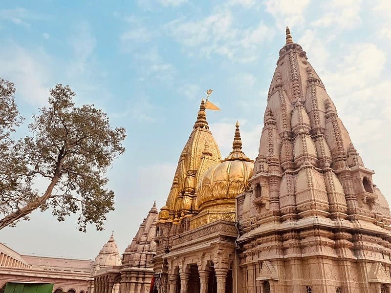 ಕಾಶಿ ವಿಶ್ವನಾಥ ದೇಗುಲ