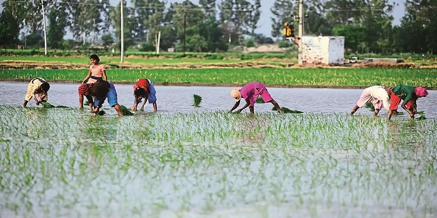 ಕೃಷಿ ಉದ್ದೇಶಕ್ಕೆ ಶೂನ್ಯ ಬಡ್ಡಿ ದರದಲ್ಲಿ ಸಾಲ ಪಡೆಯಲು ಬೇಕಾದ ಅರ್ಹತೆ ಮಾನದಂಡಗಳು ಇವು