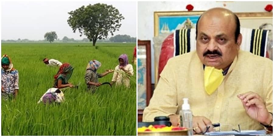 ರಾಷ್ಟ್ರೀಯ ರೈತರ ದಿನ: ಅನ್ನದಾತರಿಗೆ ಶುಭಾಶಯ ಕೋರಿದ ಮುಖ್ಯಮಂತ್ರಿ ಬೊಮ್ಮಾಯಿ