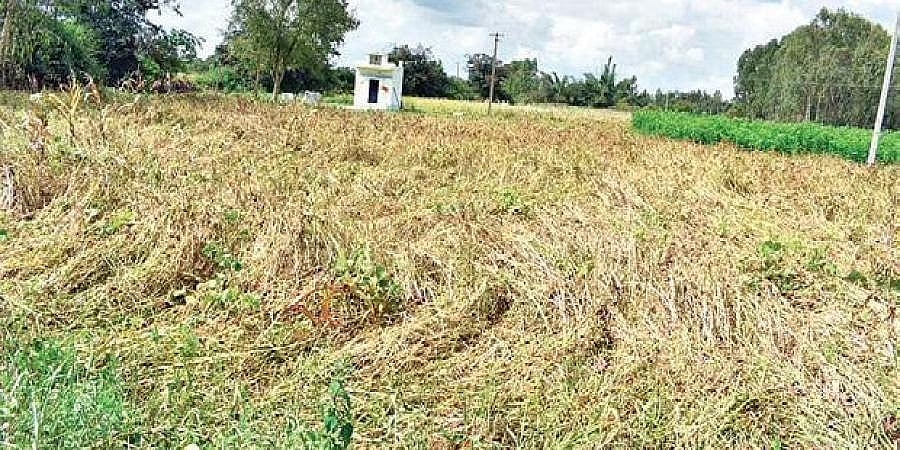 2 ತಿಂಗಳು ನಿರಂತರ ಮಳೆ: ಪ್ರವಾಹದಿಂದ ರಾಜ್ಯದಲ್ಲಿ 11 ಸಾವಿರ ಕೋಟಿ ರೂ. ನಷ್ಟ; 10 ಲಕ್ಷ ಹೆಕ್ಟೇರ್ ಬೆಳೆ ಹಾನಿ