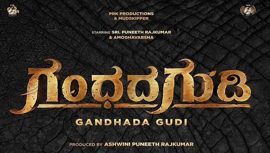 ಅಪ್ಪು ಕನಸು 'ಗಂಧದ ಗುಡಿ'ಗೆ ಮೆಚ್ಚುಗೆಯ ಮಹಾಪೂರ: ಅದ್ಭುತ ದೃಶ್ಯಕಾವ್ಯ ಎಂದ ಸಿಎಂ, ಸೆಲೆಬ್ರಿಟಿಗಳಿಂದ ಪ್ರಶಂಸೆ