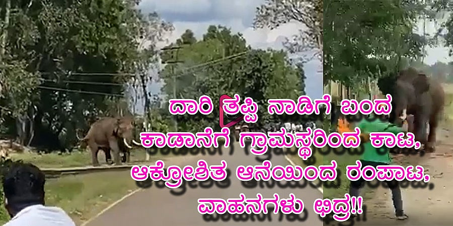 ದಾರಿ ತಪ್ಪಿ ನಾಡಿಗೆ ಬಂದ ಕಾಡಾನೆಗೆ ಗ್ರಾಮಸ್ಥರಿಂದ ಕಾಟ, ಆಕ್ರೋಶಿತ ಆನೆಯಿಂದ ರಂಪಾಟ