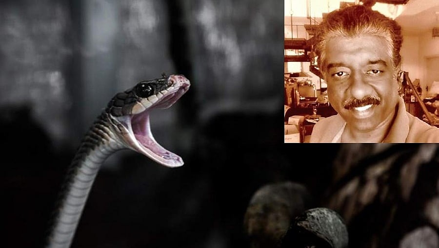 ಬೆಂಗಳೂರು: ಪಬ್ ನಲ್ಲಿ ಮ್ಯೂಸಿಷಿಯನ್'ಗೆ ಹಾವು ಕಡಿತ, ಸ್ಥಿತಿ ಗಂಭೀರ