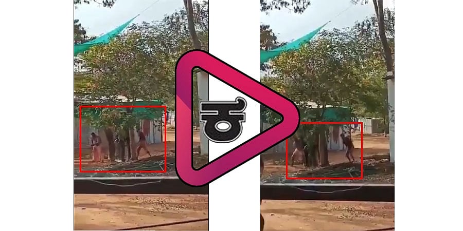 ಆನೆಯನ್ನು ಮರಕ್ಕೆ ಕಟ್ಟಿ ಮನಬಂದತೆ ಥಳಿಸಿದ ಮಾವುತರು