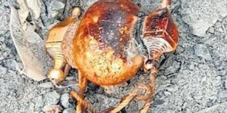 ಮಹದೇಶ್ವರ ಬೆಟ್ಟ: ಕಾಣೆಯಾಗಿದ್ದ ಚಿನ್ನದ ಕರಡಿಗೆ ಕಸದ ರಾಶಿಯಲ್ಲಿ ಪತ್ತೆ!