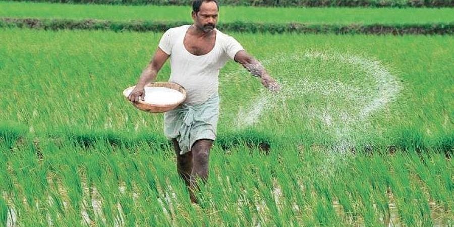 ರಸಗೊಬ್ಬರ ದರ ಏರಿಕೆ: ರಾಜ್ಯಾದ್ಯಂತ ರೈತ ಸಂಘ ಪ್ರತಿಭಟನೆ