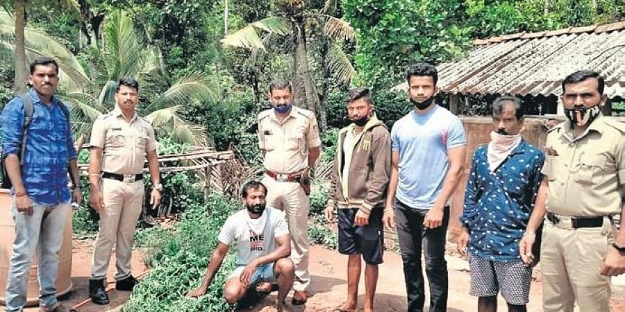 ರೆಡ್ ಹ್ಯಾಂಡ್ ಆಗಿ ಸಿಕ್ಕಿಬಿದ್ದ ಡ್ರಗ್ಸ್ ಪೆಡ್ಲರ್; ಗಾಂಜಾ, ಶಸ್ತ್ರಾಸ್ತ್ರ ವಶಕ್ಕೆ